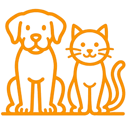 Cães e Gatos